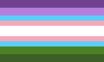Transqueer A flag with 9 horizontal stripes. The colours from top to bottom go; dark purple, purple, blue, pink, white, pink, blue, green, dark green. The blue & pink stripes are thinner, and the white one is thicker.